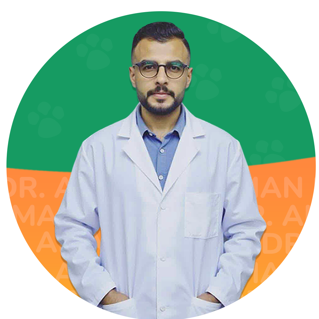 صورة توضيحية للتواصل
