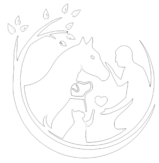 Dr. AMAN Logo