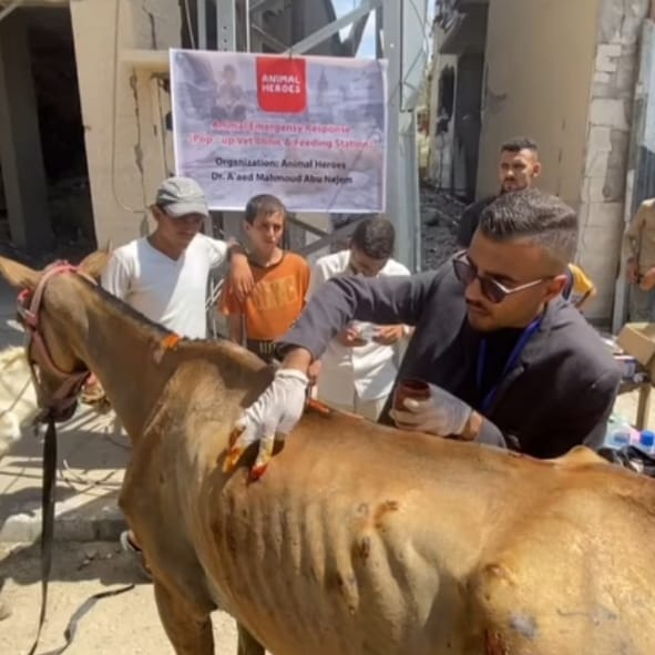 صورة توضيحية للأهداف
