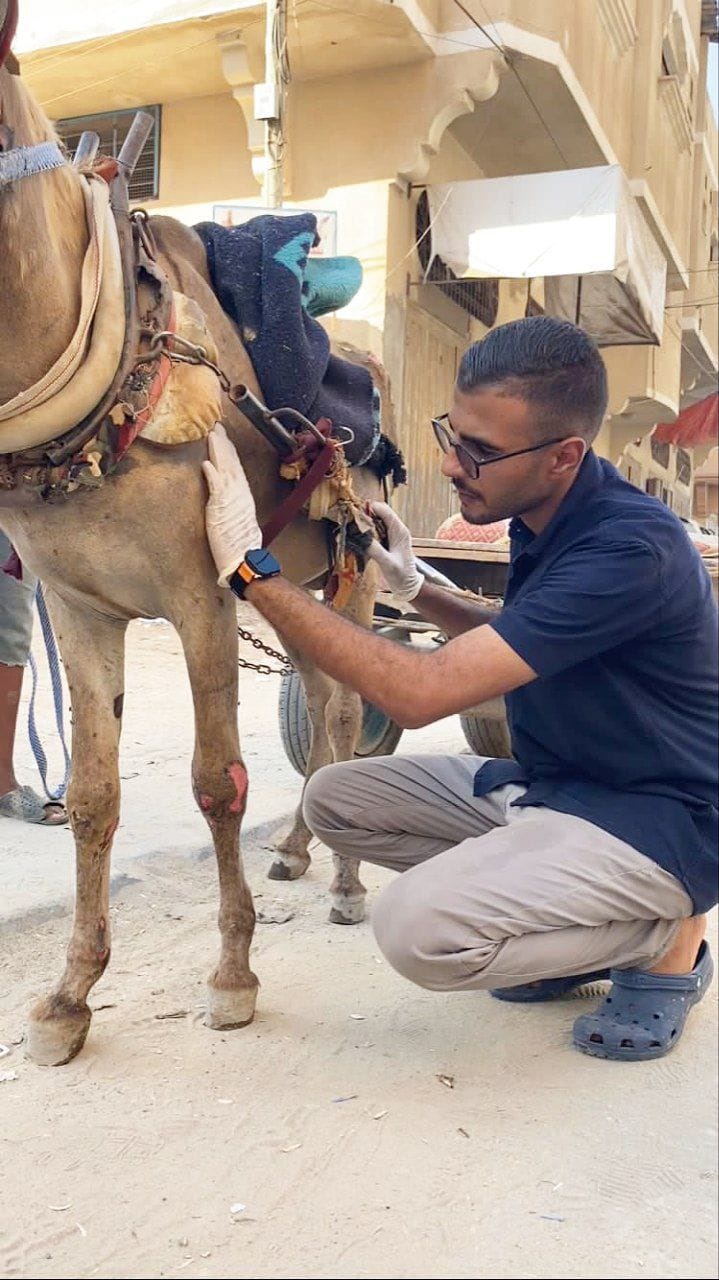 صورة مصغره