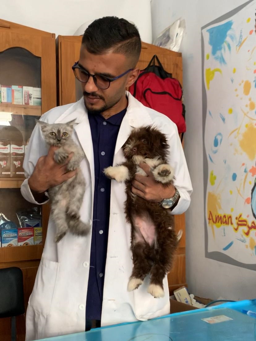 صورة مصغره