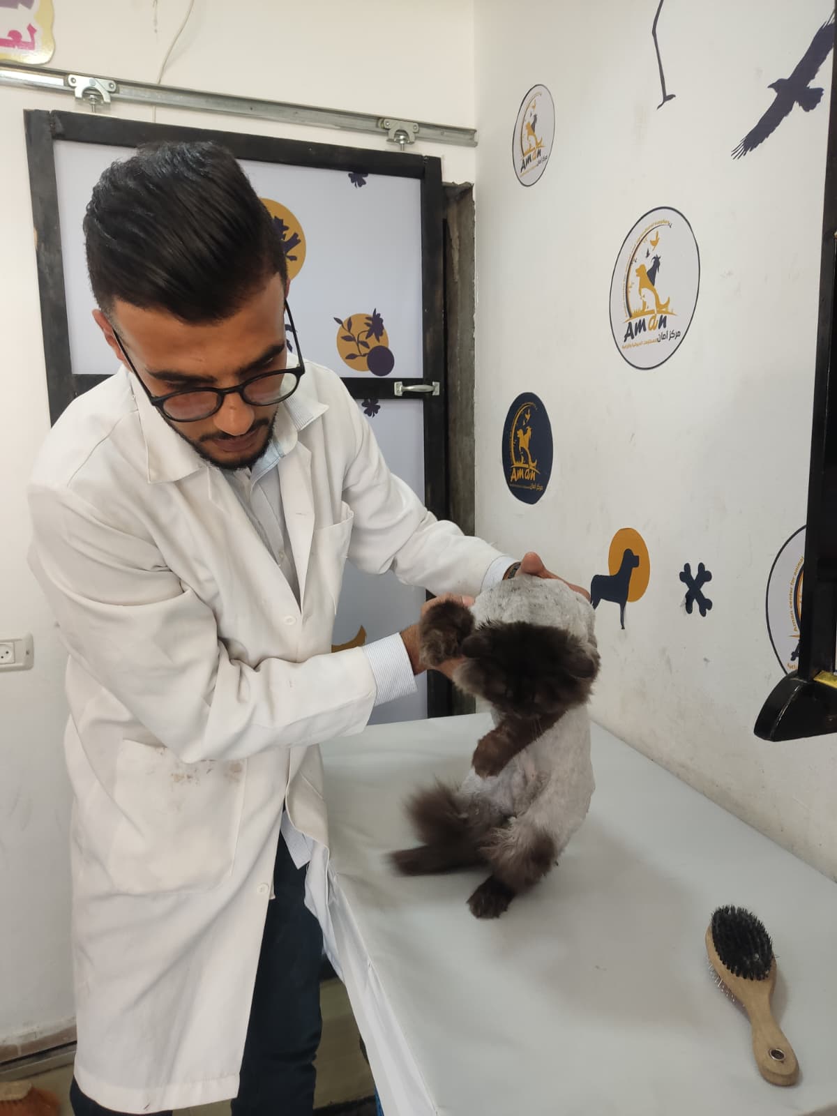 صورة مصغره