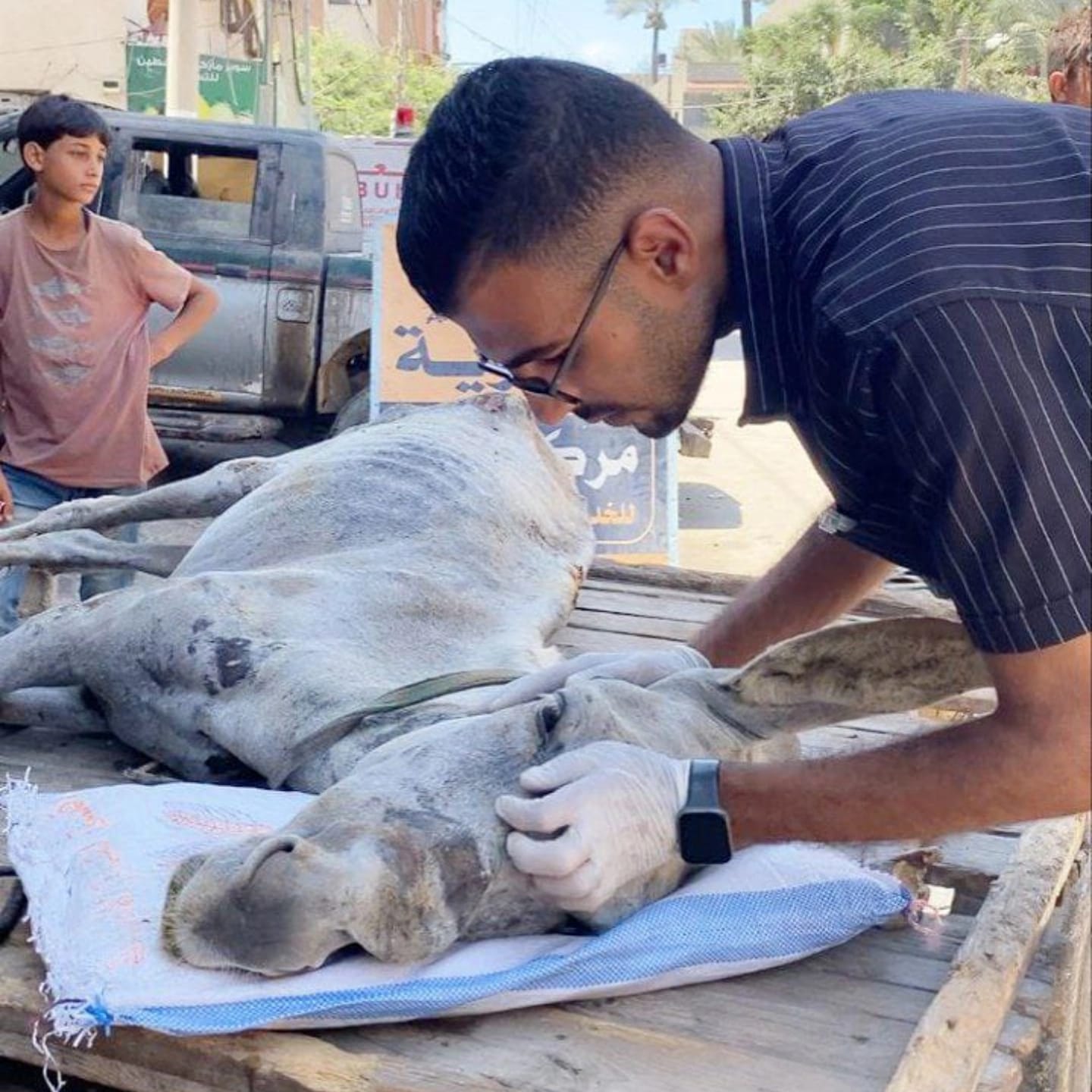 صورة توضيحية للرؤية